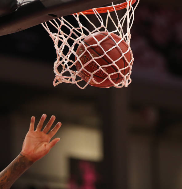 队则展示了 队则展示了